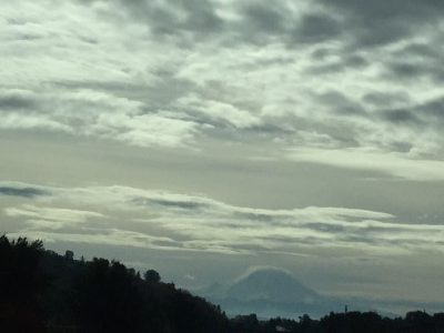 Mt. Rainier bids adieu. 